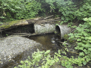 Pierce County is exploring a project that aims to provide water quality and fish passage improvements to the lower portion of Purdy Creek, which runs under 144th Street NW and near the Purdy Chevron gas station. (PHOTO COURTESY PIERCE COUNTY)