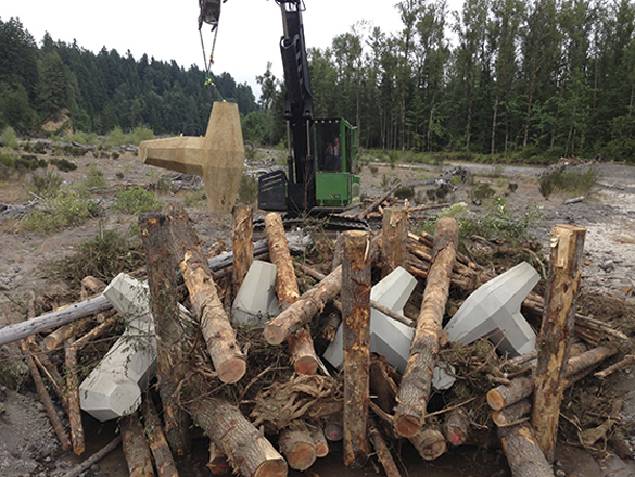 Pierce County Public Works and Utilities recently designed and built 700 feet of riverbank protection and six engineered log jams on the Puyallup River next to Orville Road between Electron Road and 249th Street East. The project, which was completed last fall, allows the river to meander in the channel but protects the road from the river during high water events. The engineered log jams were built with large logs and eight-ton concrete structures that resemble children's jacks. The jacks, called dolos, keep the logs in place which will then catch additional trees and vegetation flowing down the river. (PHOTO COURTESY PIERCE COUNTY)