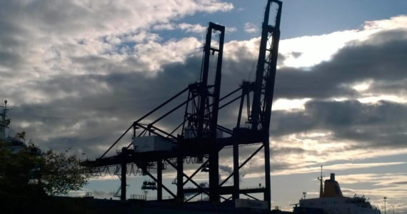 Cranes at dusk, Photo by Morf Morford