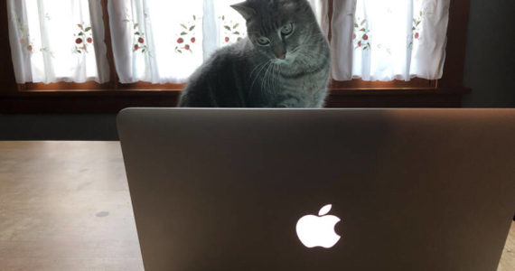 When your mom, or even your mom’s cat, uses Facebook, it might be time to move on. (Photo by Morf Morford)