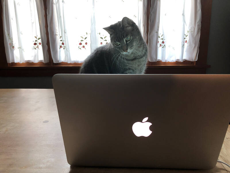 When your mom, or even your mom’s cat, uses Facebook, it might be time to move on. (Photo by Morf Morford)