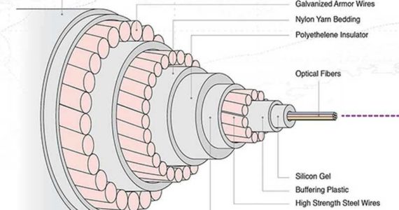 And if you thought those cables were a simple coating over a fiber, think again. These cables are roughly the size of a garden hose and carry internet traffic at the speed of light. The filaments that carry light signals are extremely thin — roughly the diameter of a human hair. (Image courtesy of Visual Capitalist)