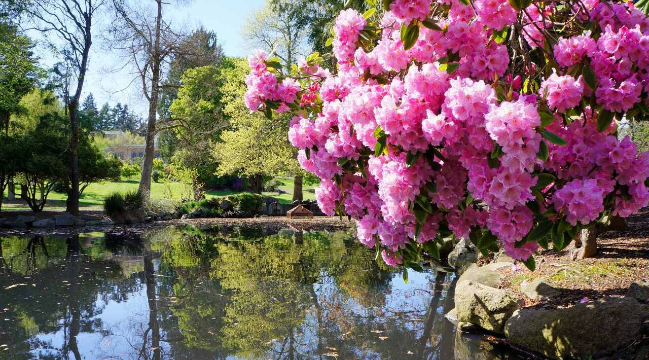 Point Defiance park in Tacoma. (Getty Images)