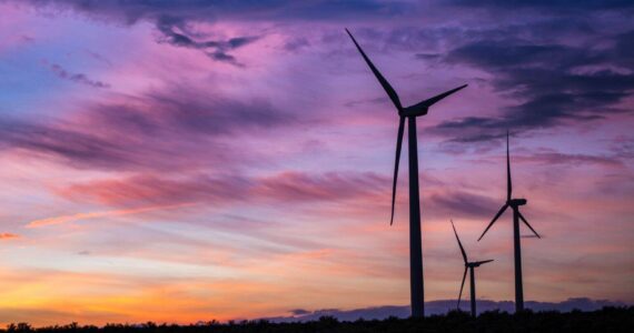 Photo courtesy of Heidi Ihnen/Getty Images/Washington State Standard 
If approved, Horse Heaven wind farm would be southeast of the Wild Horse wind facility, near Ellensburg, Washington.