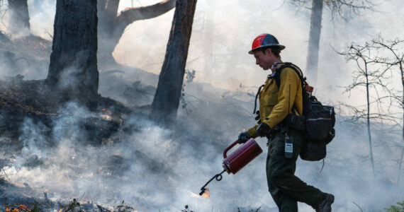 Kyle Sullivan, Bureau of Land Management/Washington State Standard
Firefighters undertake a prescribed burn at the Upper Applegate Watershed near Medford on April 27, 2023. Such burns can help reduce the risk of large wildfires.