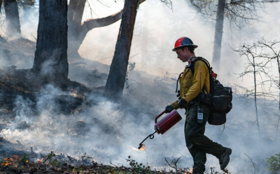 Kyle Sullivan, Bureau of Land Management/Washington State Standard
Firefighters undertake a prescribed burn at the Upper Applegate Watershed near Medford on April 27, 2023. Such burns can help reduce the risk of large wildfires.