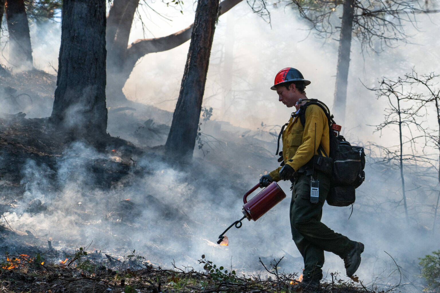 Kyle Sullivan, Bureau of Land Management/Washington State Standard
Firefighters undertake a prescribed burn at the Upper Applegate Watershed near Medford on April 27, 2023. Such burns can help reduce the risk of large wildfires.