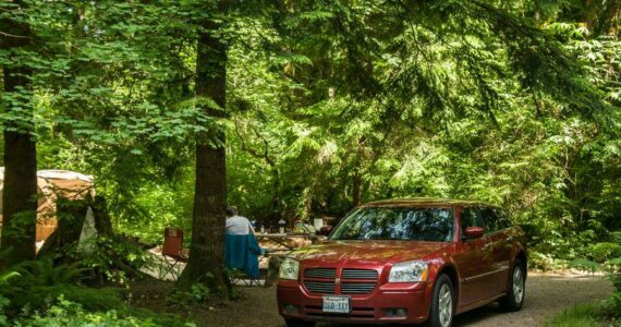 Photo courtesy Washington State Parks
Kanaskat-Palmer State Park, located in King County near Ravensdale.