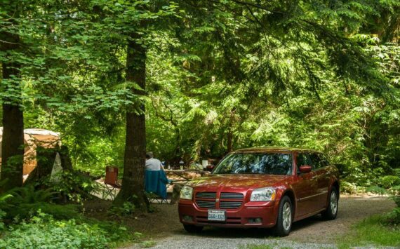 Photo courtesy Washington State Parks
Kanaskat-Palmer State Park, located in King County near Ravensdale.