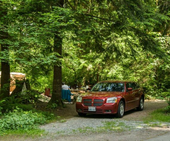 Photo courtesy Washington State Parks
Kanaskat-Palmer State Park, located in King County near Ravensdale.