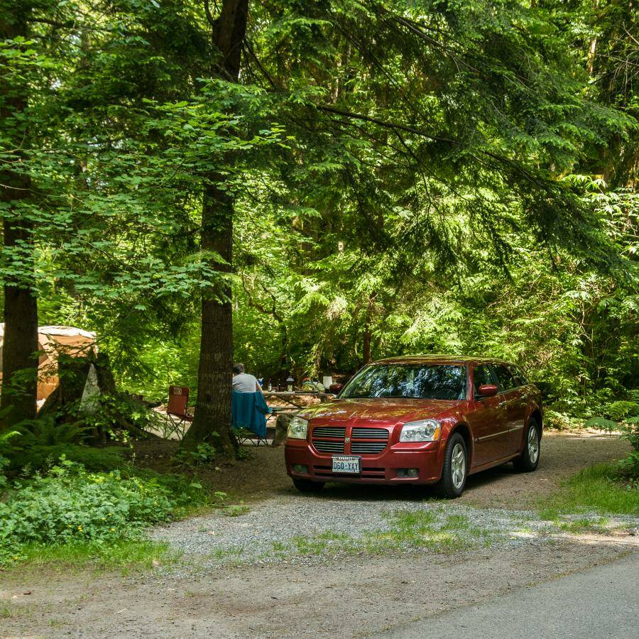 Photo courtesy Washington State Parks
Kanaskat-Palmer State Park, located in King County near Ravensdale.