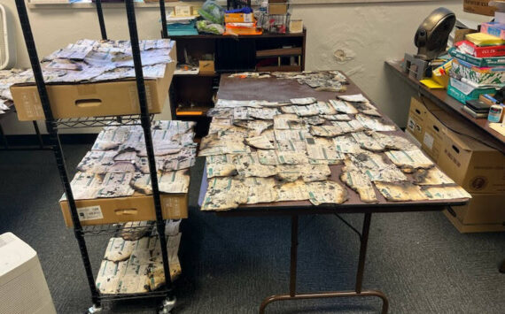 Courtesy of Clark County Auditor
Election officials recovered these ballots from a ballot drop box targeted in an arson in Vancouver, Washington on Oct. 28, 2024. Officials were able to identify voters for 488 damaged ballots and they are getting replacements ballots this week.